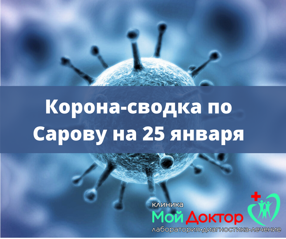 Сводка 25 января.png